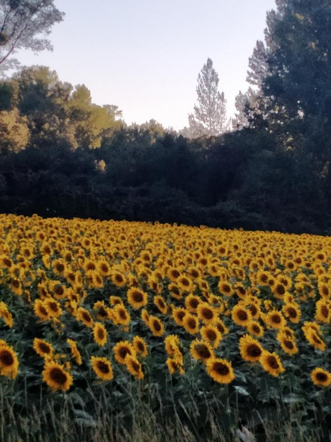 Hotel Rural El Cielo Entejado Εξωτερικό φωτογραφία
